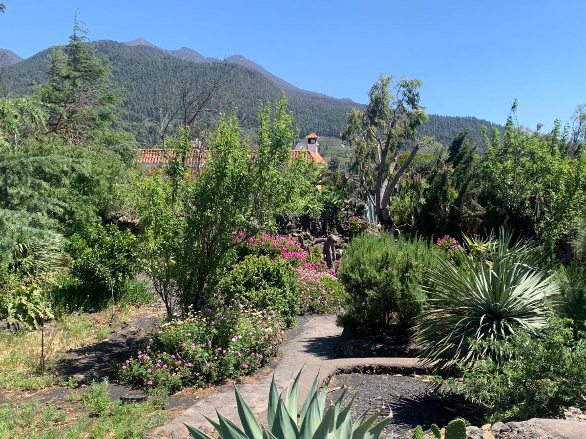 Casa Piedras Blancas With Private Garden Βίλα El Paso Εξωτερικό φωτογραφία
